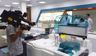 驚艷登場！泉州版迪士尼即將亮相，預(yù)計最快2019年開放，未來片區(qū)聚焦針紡織品銷售